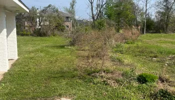 Mowing for Southern Lawn & Tractor in Lake Charles, LA
