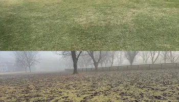 Painting and Drywall for Camalett Services in Perry, GA