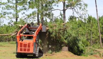 Tree Trimming for American Tree Masters in Alvin, TX