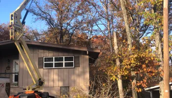 Tree Removal for Dale's Tree Service in Springdale, AR
