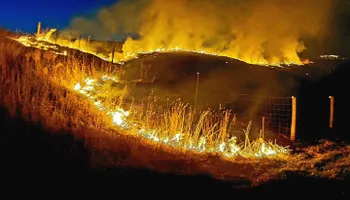 Wildlife & Hunting Property Management for Bluffside Forestry in Cedar Rapids, IA