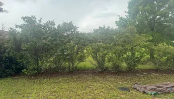 Mowing for Young's Lawn Services LLC in Ocala, FL