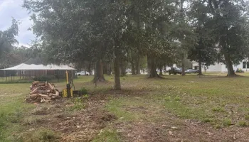 Tree Removal for Hawkins Tree Service & Land Management in Richmond Hill, GA