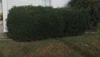 Mowing for Mark's Lawn Care in Mount Pleasant, TN