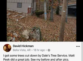 Tree Removal for Dale's Tree Service in Springdale, AR