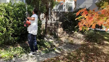 Tree Removal for Oakhurst Landscaping and Tree Service in Charlotte, NC