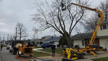 Tree Removal for Huntsville Tree Service in Huntsville, AL