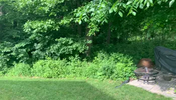 Tree Removal for Ramirez Tree Care in Pontiac, Michigan