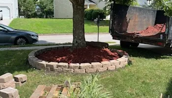 Tree Removal for J&M Stump Grinders LLC in Douglasville, GA