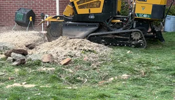 Tree Removal for Village Tree Service  in Whitestown, IN