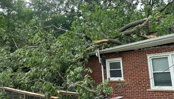 Tree Removal for DGD Outdoor Services LLC in Howell, MI