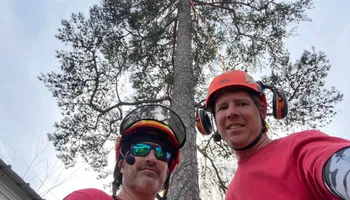 Tree Trimming for Pinedown LLC in Cherokee County, GA