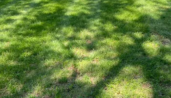 Mowing for Henry’s Lawn Care & Landscaping, LLC in Wendell, NC