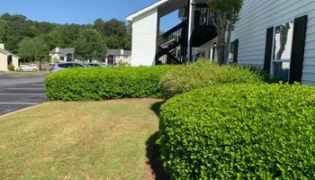 Mowing for Bega Landscape Services in Atlanta, Georgia