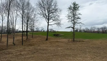 Land Clearing for Hunt’s Hauling & Landworks LLC in Danville, VA