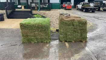 Maintenance Services for Norvell's Turf Management, Inc in Middletown, OH