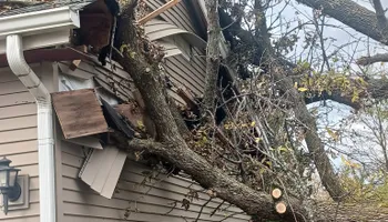 Tree Care for Buffalo Family Tree Care in Buffalo, MN