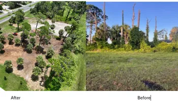Forestry Mulching for SWF Land Clearing Solutions in Fort Myers, FL