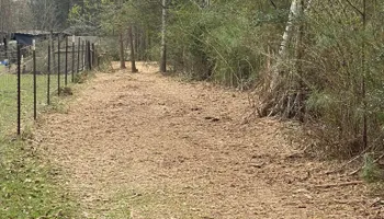 Land Clearing for South Mississippi Land Management LLC in Columbia, Mississippi
