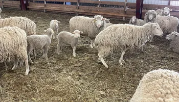 Plumbing Remodels for Mr. Pipe Dreams LLC in Colorado Springs, CO