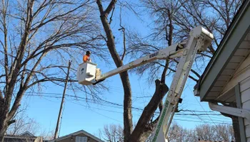 Tree Removal for Cross Family Tree Service in Kearney, MO