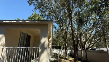 Fall Clean Up for Kramer & Son’s Property Maintenance in Hudson, FL
