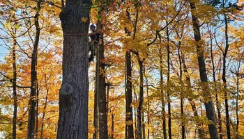 Tree Removal for Summit Tree Care LLC in Fort Wayne, IN