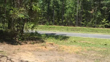 Tree Removal for Tucker's Tree Service and Stump Grinding in Lugoff, SC