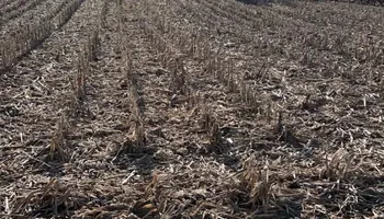 Farm Drainage for Northwest Ohio Farm Drainage in Ada,, OH