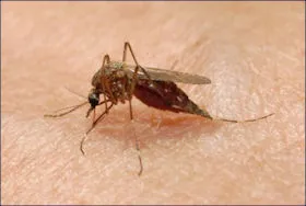 System Overview for Stonecreek Solutions in Sulphur Springs, TX