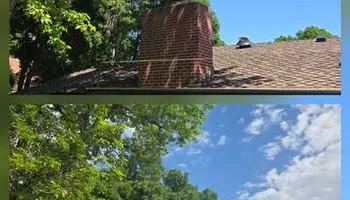 Tree Removal for Family Tree & Landscape LLC in Aurora, CO