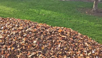 Lawn Mowing for 4 Points Lawncare LLC in Hayes, VA