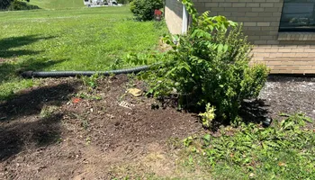 Tree Removal for Baker Professional Services LLC in Shelbina, MO