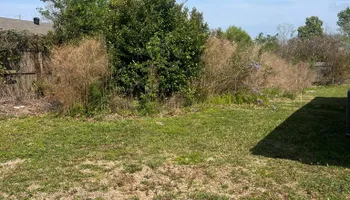 Mowing for Southern Lawn & Tractor in Lake Charles, LA