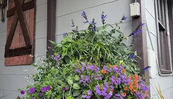 Mowing for Sustainable Property Services in Banner Elk, NC