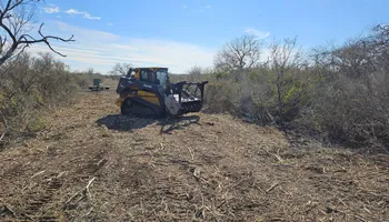 Land Clearing & Demolition for Hernandez Land Clearing Services in Alice, TX