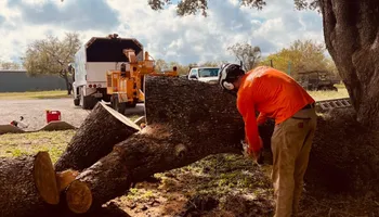 Tree Pruning for Braun Tree Service  in Floresville, Texas