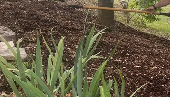 Lawn Maintenance for Legends Lawn Care in Johnson City, TN