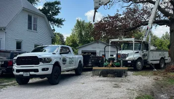 Tree Removal for Baker Professional Services LLC in Shelbina, MO