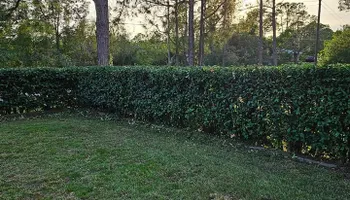 Lawn Care & Maintenance for Above the Lawn Cuts in Sebring, FL