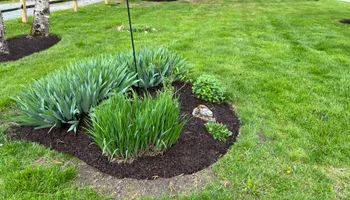 Mowing for Denicola’s Lawn Care in Oxbow,  NY