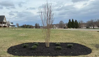 Lawn Maintenance for Palmetto State Landscaping in Gaffney, SC