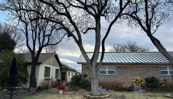 Tree Removal for Compas Cleanup in McCamey, TX