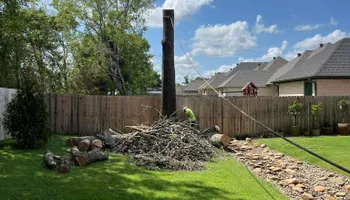Tree Removal for JC Land and Tree Service in Kilgore, TX