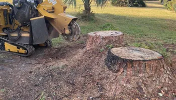 Tree Removal for Alford’s Tree and Stump Services LLC in Lake City, FL