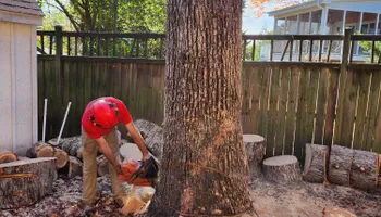 Tree Removal for Smith Tree Experts in Palmyra, VA