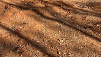 Land Clearing for Gibson Grade Works in Towns County, GA