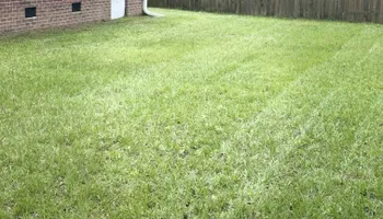 Lawn Maintenance for Trinity Landscapes  in Lumberton, NC