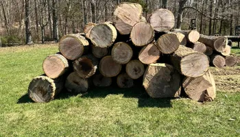 Tree Removal for Kadin’s Tree Service in North Vernon, IN