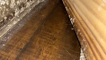 Water Mitigation for N&D Restoration Services When Disaster Attacks, We Come In in Cape Coral,  FL